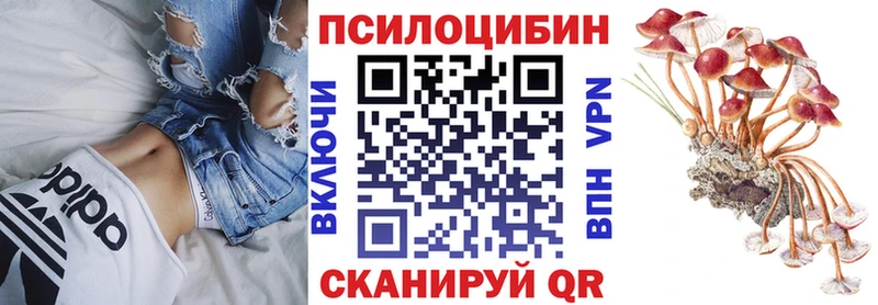 дарнет шоп  Гремячинск  Псилоцибиновые грибы Cubensis 